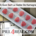À Quoi Sert La Gelée De Kamagra 18